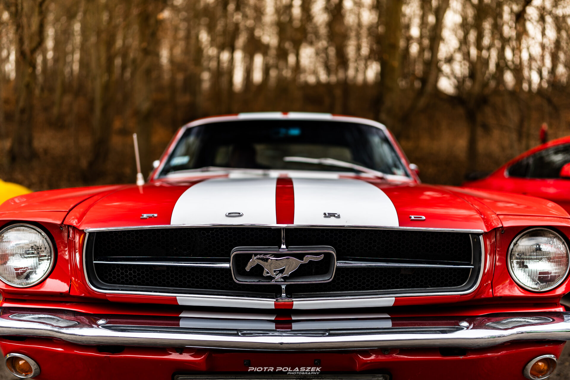 Spot z okazji 60-lecia produkcji Forda Mustanga. Mustang & Friends