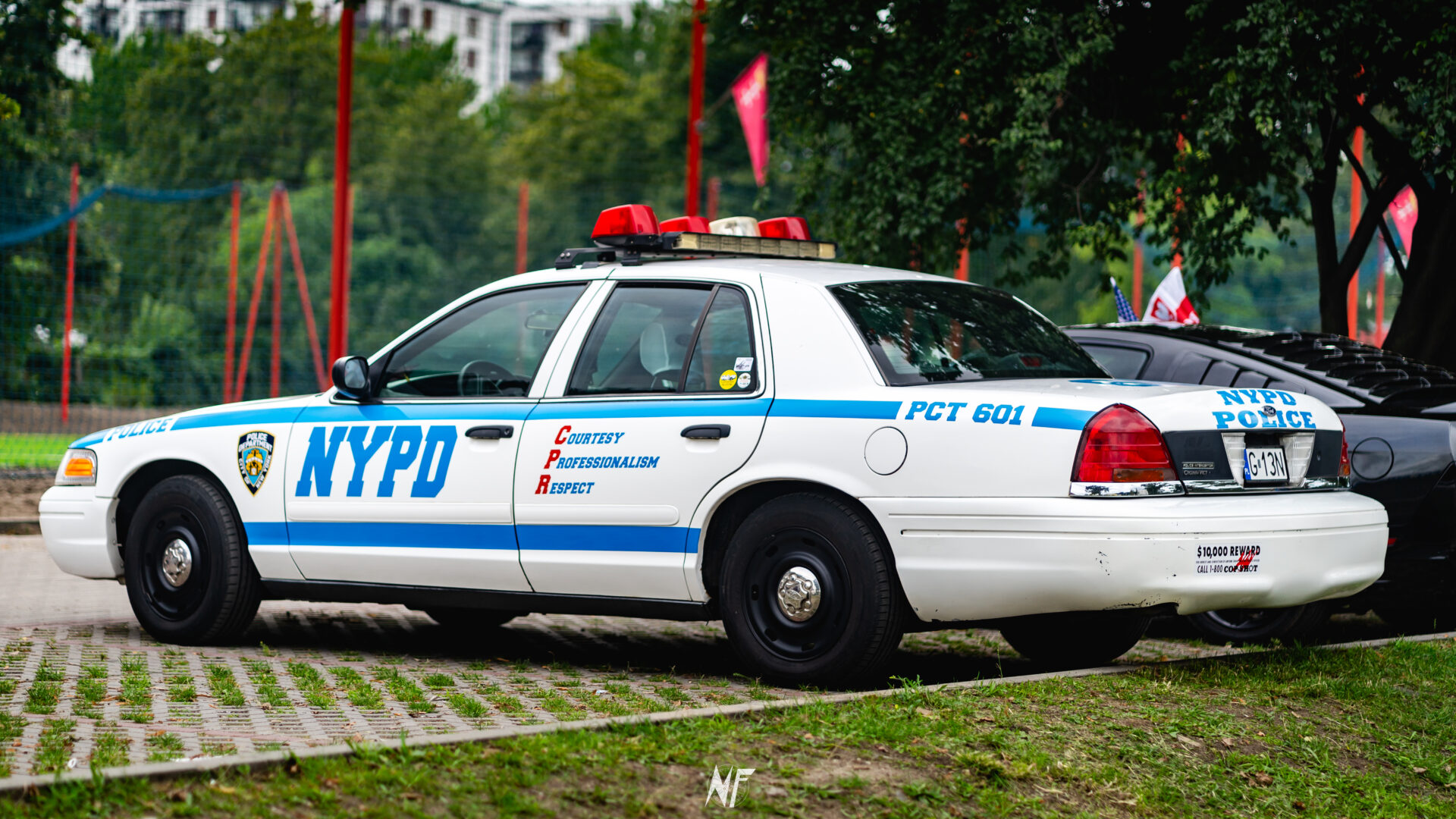 Amcar Grill Party by Naidrok