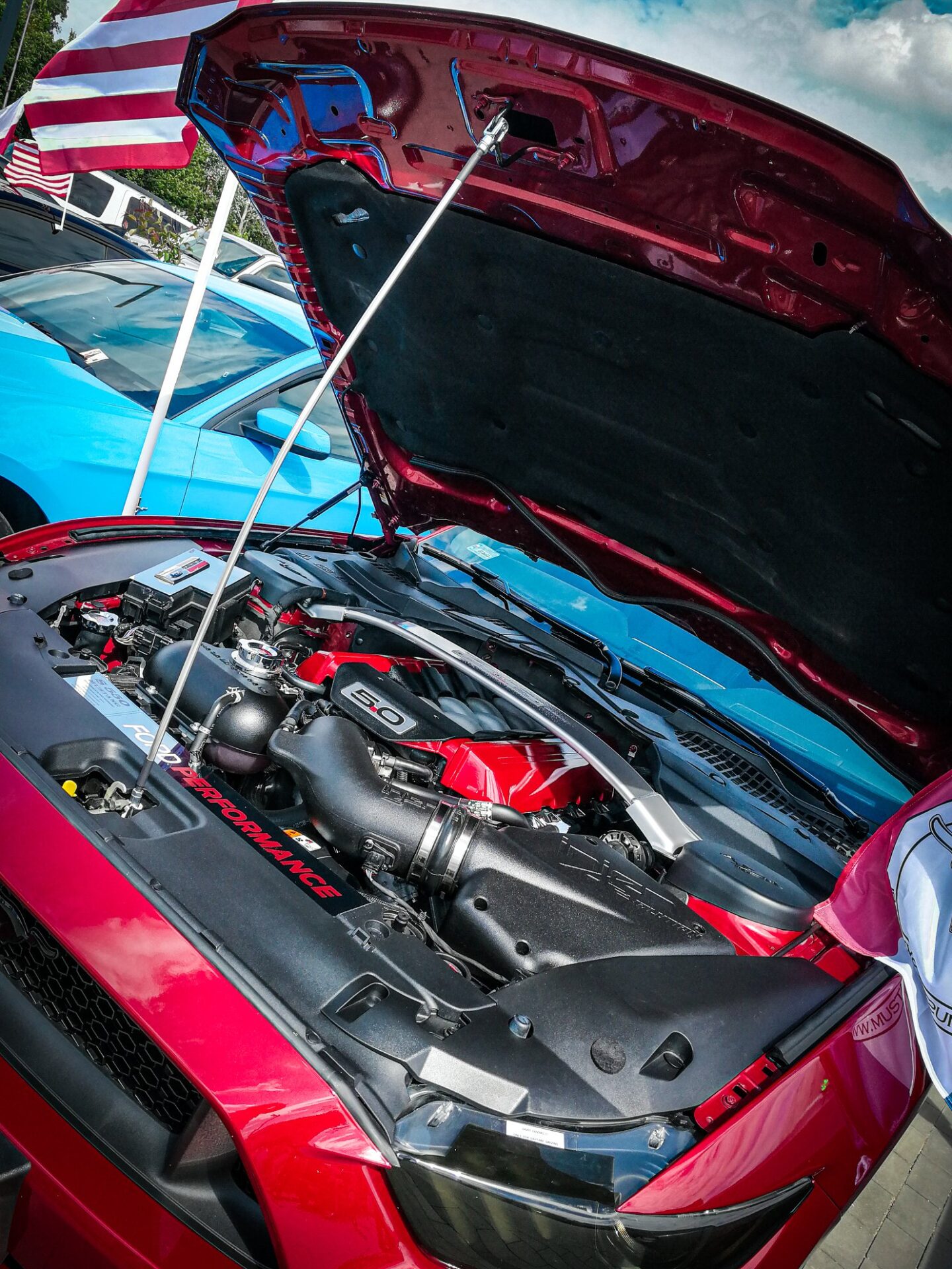 Międzynarodowy Dzień V8