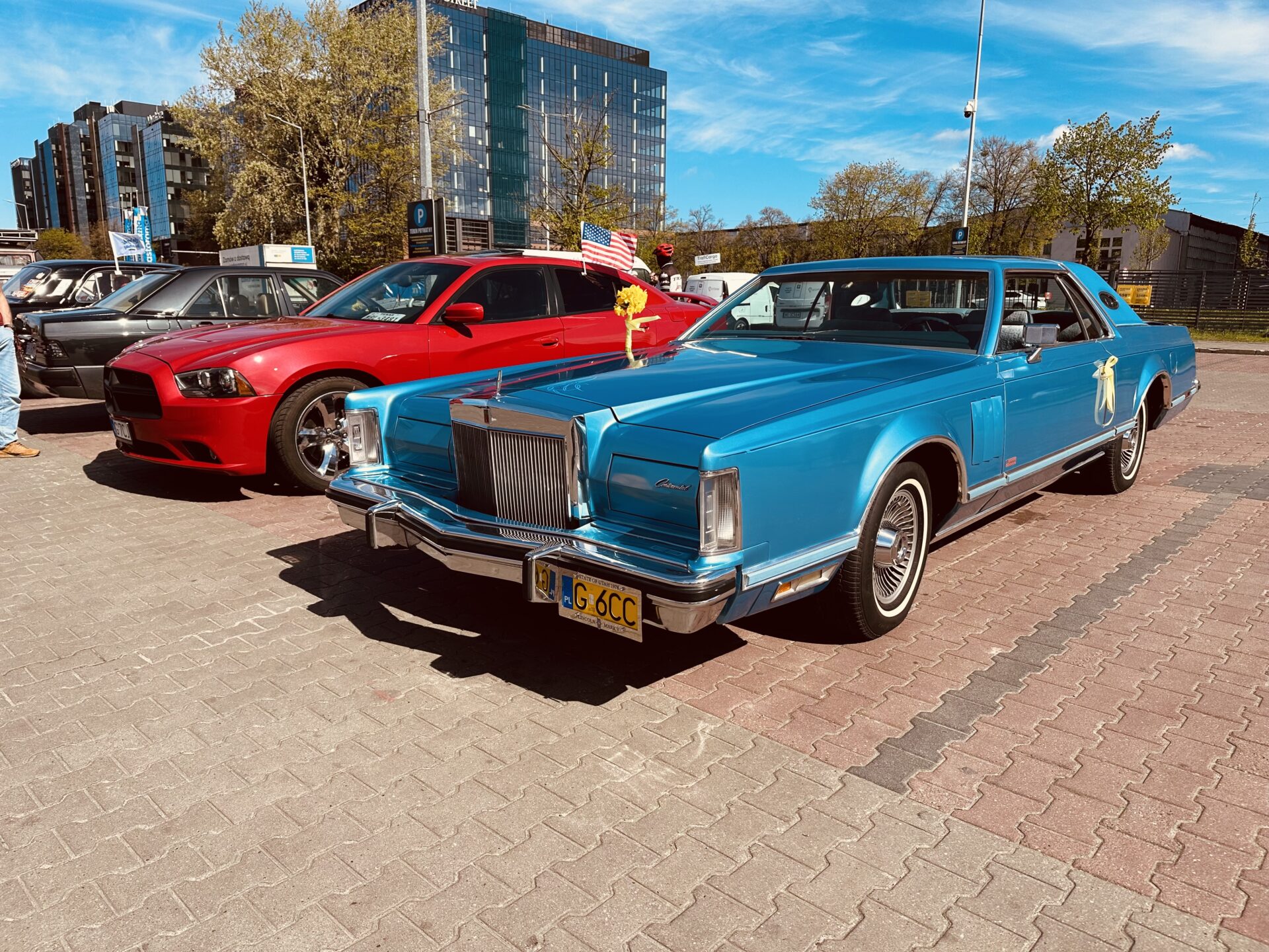 Żonkilowa parada – Pola Nadziei na Pomorzu