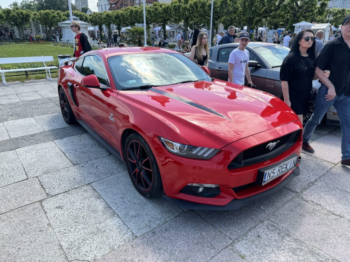 Mustang Rekin